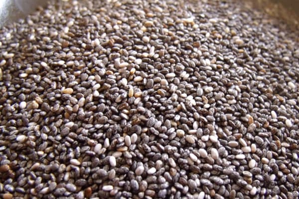 Top Quality Conventional Black Chia Seeds
